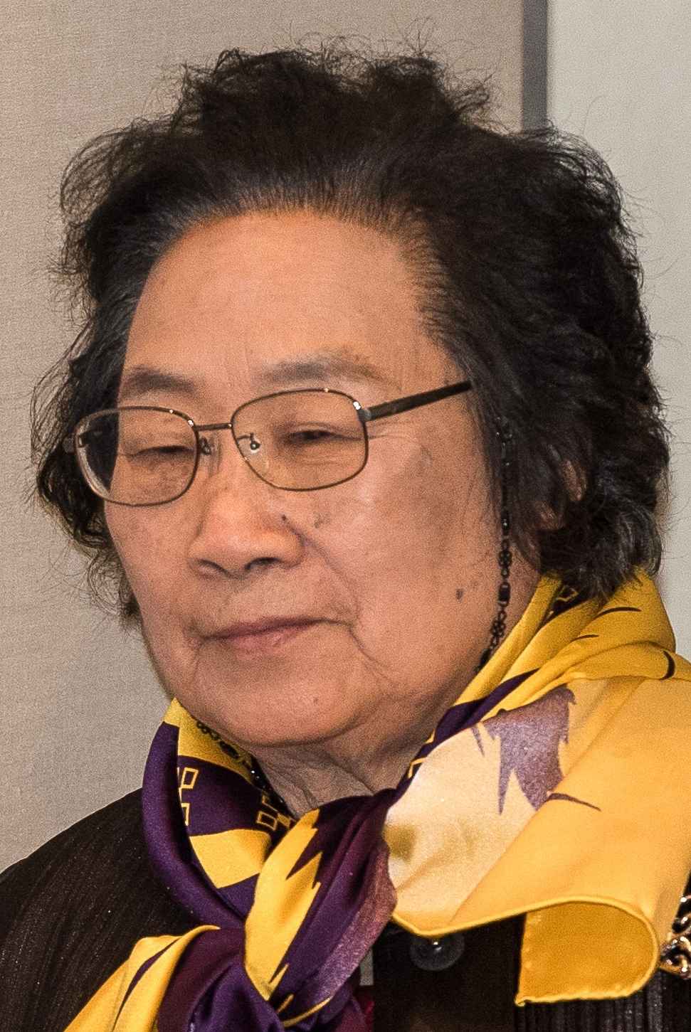 屠呦呦人物素材封面